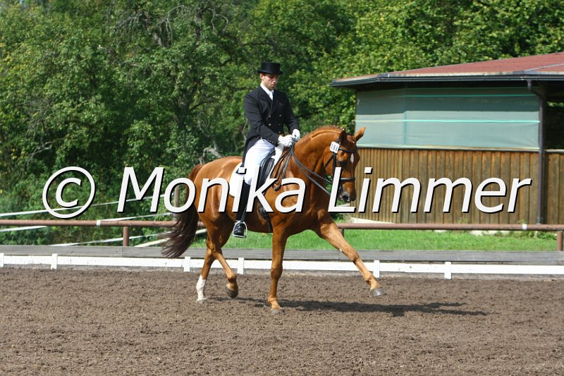 109M4232_Lescadero_Dressur Sxx.JPG